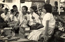 คุณหญิงชิ้น ศิลปบรรเลง